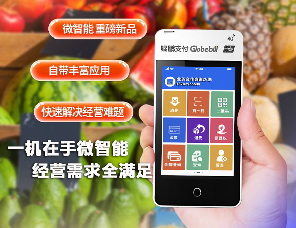 鲲鹏支付微智能POS